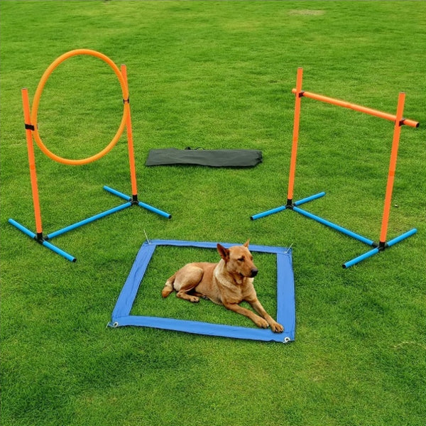 AgiliPro Dog Agility Training Kit (3pcs)