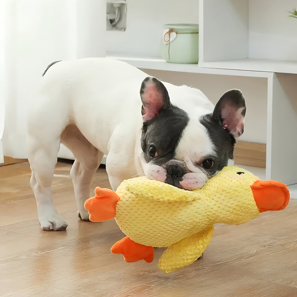 MegaQuack Plush Dog Toy