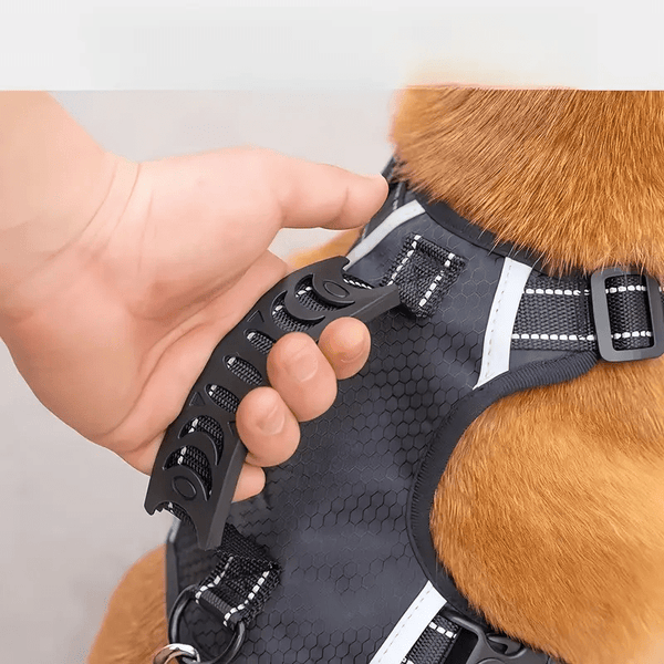 Adjustable No-Pull Pet Harness